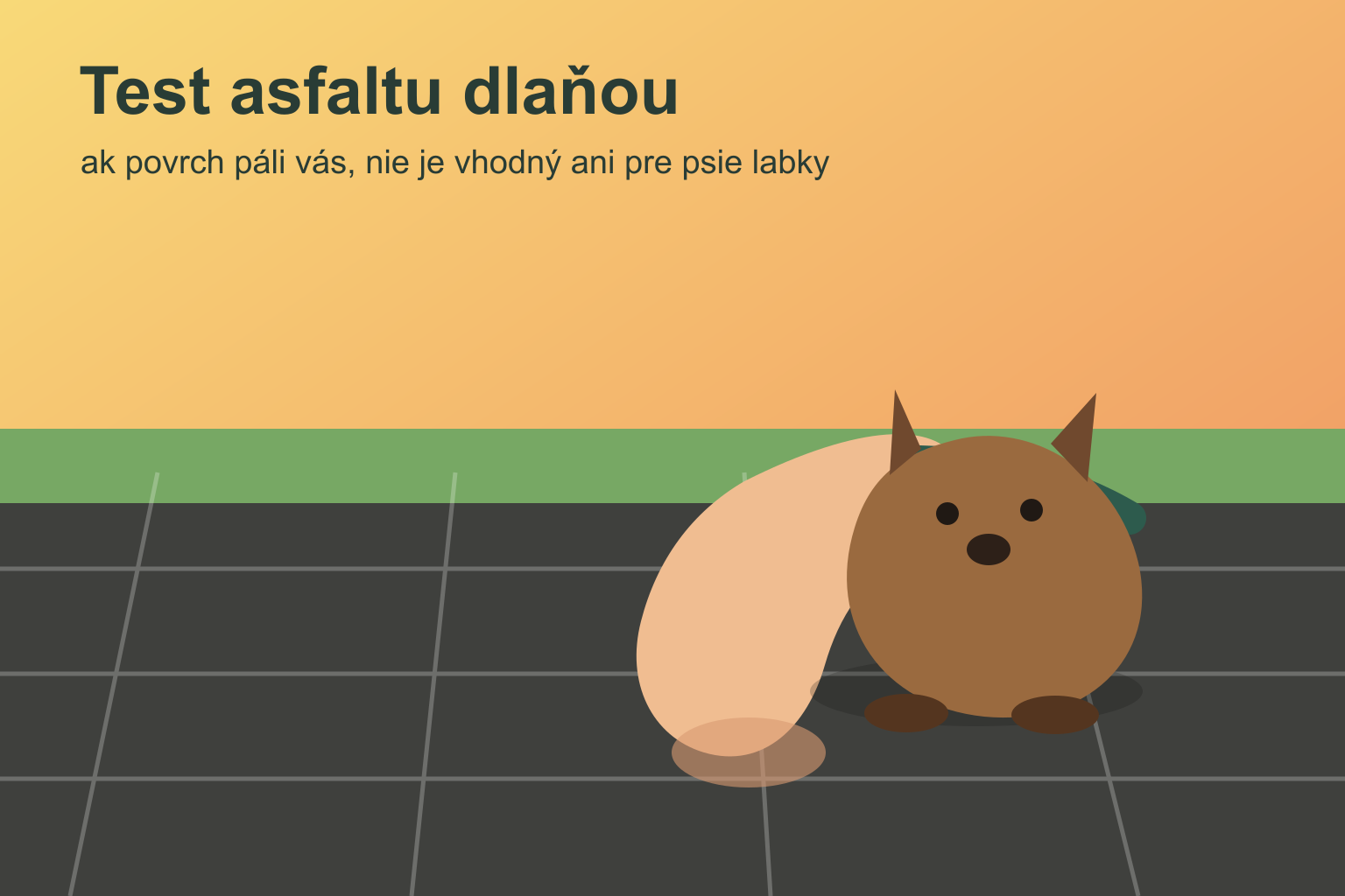 Test horúceho asfaltu dlaňou pred prechádzkou so psom